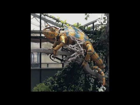 YouTube-Video-Thumbnail