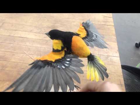 YouTube-Video-Thumbnail