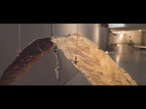 YouTube-Video-Thumbnail