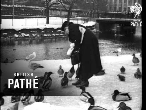 YouTube-Video-Thumbnail