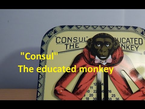 YouTube-Video-Thumbnail