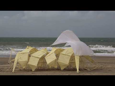 YouTube-Video-Thumbnail