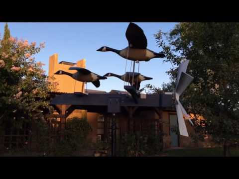 YouTube-Video-Thumbnail