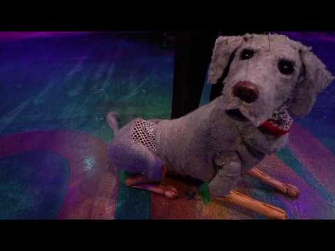 YouTube-Video-Thumbnail