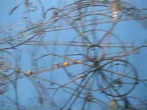 YouTube-Video-Thumbnail