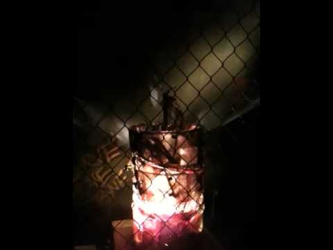 YouTube-Video-Thumbnail