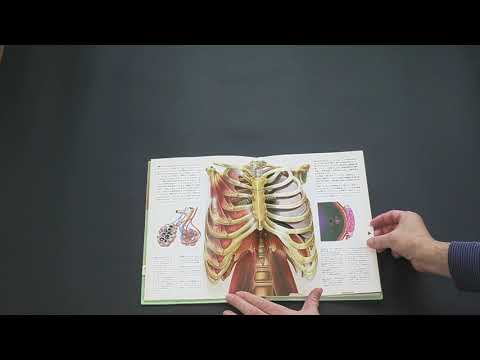 YouTube-Video-Thumbnail