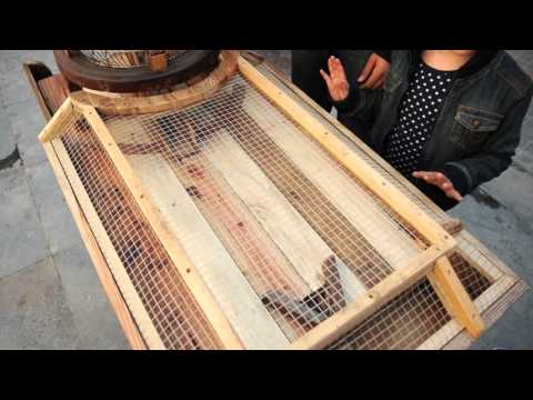 YouTube-Video-Thumbnail