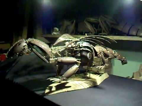 YouTube-Video-Thumbnail