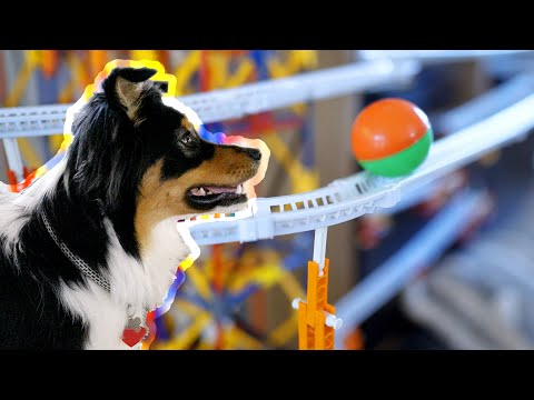 YouTube-Video-Thumbnail