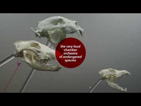 YouTube-Video-Thumbnail
