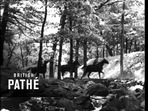 YouTube-Video-Thumbnail