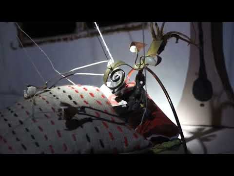 YouTube-Video-Thumbnail