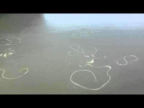 YouTube-Video-Thumbnail