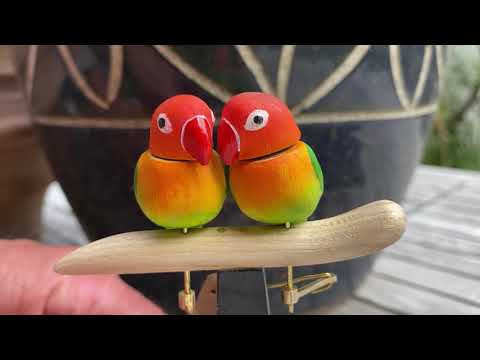YouTube-Video-Thumbnail