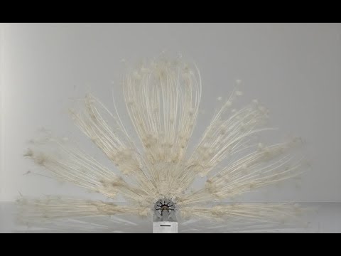 YouTube-Video-Thumbnail