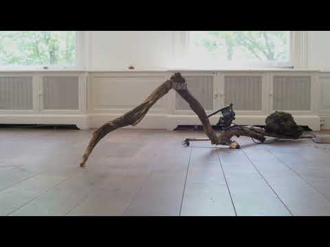 YouTube-Video-Thumbnail