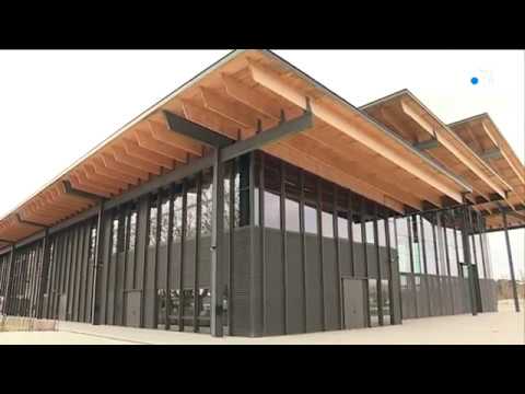 YouTube-Video-Thumbnail