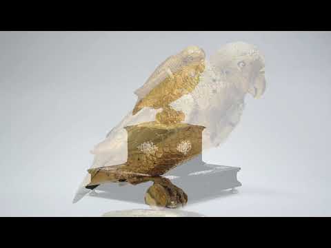 YouTube-Video-Thumbnail