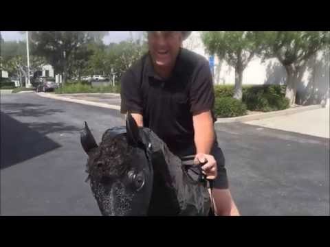 YouTube-Video-Thumbnail