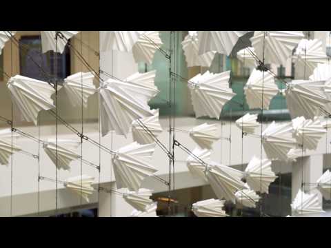 YouTube-Video-Thumbnail