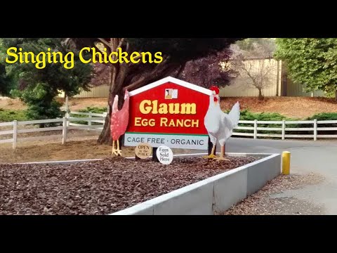 YouTube-Video-Thumbnail