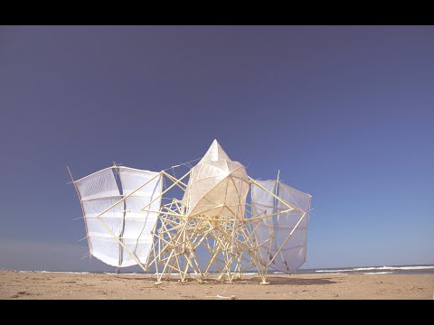 YouTube-Video-Thumbnail