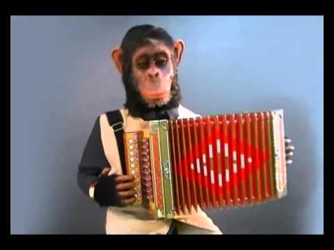 YouTube-Video-Thumbnail