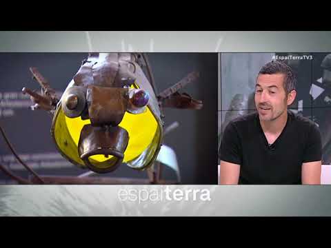 YouTube-Video-Thumbnail