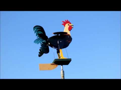 YouTube-Video-Thumbnail