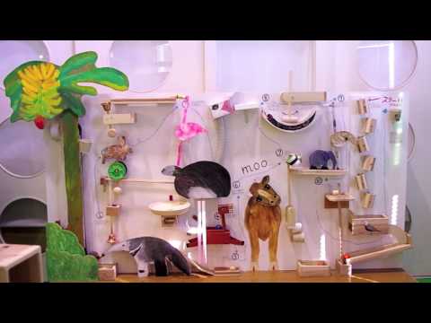 YouTube-Video-Thumbnail