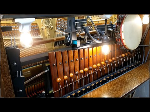 YouTube-Video-Thumbnail