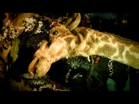 YouTube-Video-Thumbnail