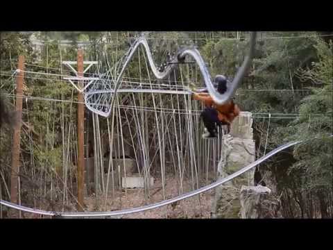 YouTube-Video-Thumbnail