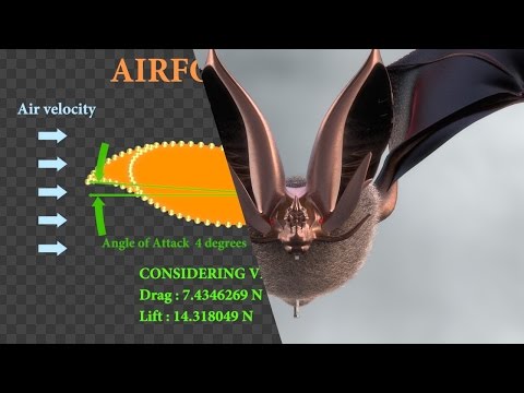 YouTube-Video-Thumbnail