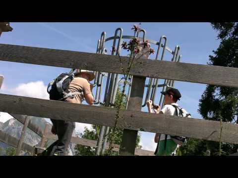 YouTube-Video-Thumbnail