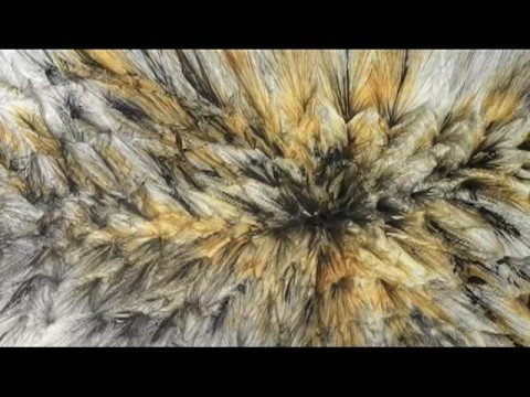 YouTube-Video-Thumbnail