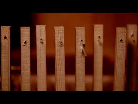 YouTube-Video-Thumbnail