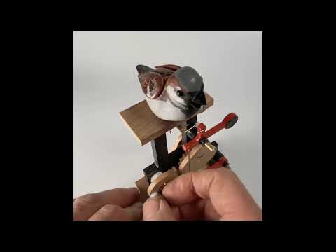 YouTube-Video-Thumbnail