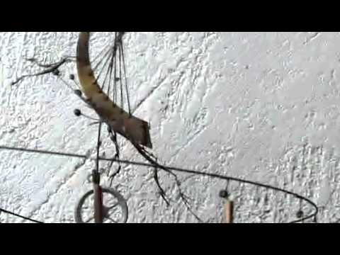 YouTube-Video-Thumbnail