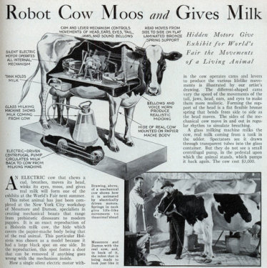 med_robot_cow